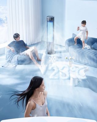 Ventilador de aire acondicionado de niebla de hielo móvil vertical con voltaje de 220V y moho privado