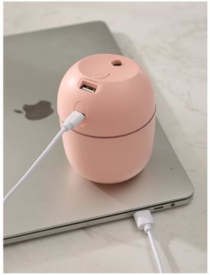 Otras funciones Humidificador ultrasónico H2o Mini Cup Spray Mist para automóviles Humidificador de aire USB