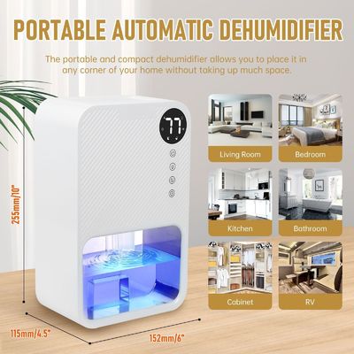 Deshumidificador inteligente y visible para secado a prueba de humedad y de dormitorio en espacios pequeños